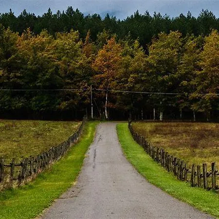 La Collina Delle Stelle