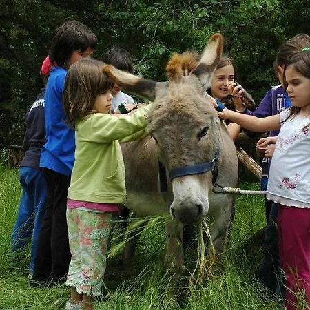 La Collina Delle Stelle