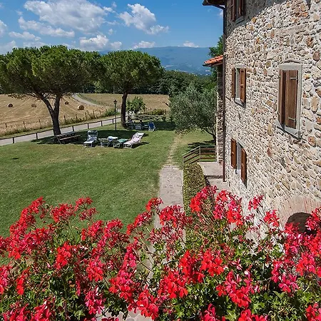 La Collina Delle Stelle Alloggio per agriturismo