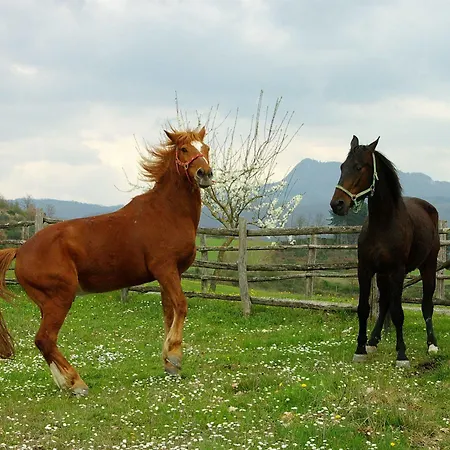 La Collina Delle Stelle Banzena