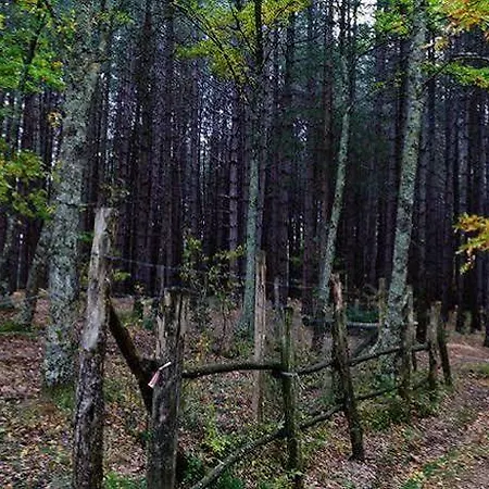 La Collina Delle Stelle